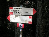 Da qui sentiero 411  2024-10-30-11h05m42