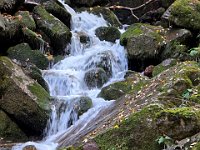 Scendiamo dal sentiero 410  20241030 141130