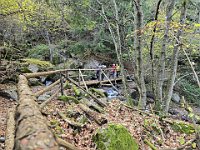 Con vari ruscelli  20241030 141232