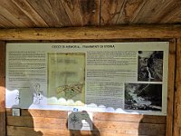 Pannelli  20241030 142606