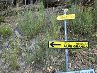 Seguiamo la strada per l'Alpe Granda  20241114 080603 [1600x1200]