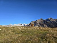 Alpe Granda  20241114 085411 [1600x1200]