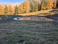 Laghetto o pozza sotto il rifugio  20241114 090336 [1600x1200]