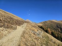 Scendiamo in località Acqua di Occ, qui abbandoniamo la strada per scendere ripidi  20241114 133908 [1600x1200]