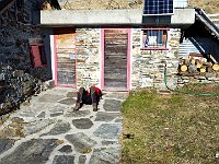 Relax  dji fly 20241114 131900 418 1731586771688 photo optimized [1600x1200]