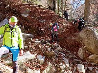 Alle 12:50 iniziamo la discesa con tanta attenzione per le foglie  1000126788