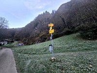 Palina  20241117 073940