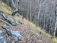 A Q1000 circa si entra in Val Leggia  20241117 092744