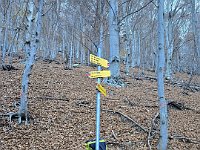 La prima palina per Alpe Dara a Q1205, qui facciamo la nostra pausa  20241117 100907