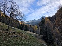 Dal rifugio verso l'alta Val Leggia  20241117 121248