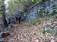 I primi 300-400mt di dislvello su largo sentiero con fogliame di castagno  IMG 6353