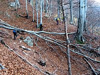 Poi proseguiamo con molta atenzione, le foglie sono molto scivolose  IMG 6354