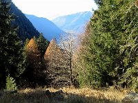 Vista verso valle  IMG 6368