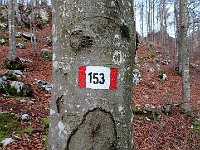 Sentiero 153  IMG 6443