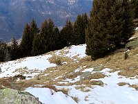 Ultimi passi per la Domas  1000144802