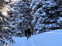 Oltre la biata si sale un crinale (Cap Alto 1900mt) e poi si scende tra gli abeti verso Rutan  1000151363