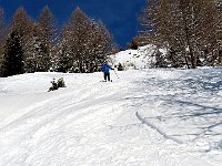 Cerchiamo la neve fresca  1000151364