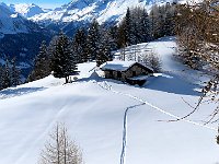 Puntiamo alla baita di Pian Toi  1000151366