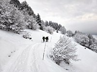 Il sentiero segue la strada per Morinal e Rutan  20250126 085436