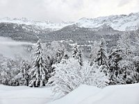 Il paesaggio è in bianco e nero  20250126 085439
