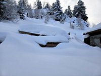 C'è una buona quantità di neve  20250126 092212