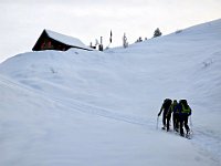 Siamo il secondo gruppo a passare di qui oggi, poco prima di noi 4 sci-alpinisti  20250126 092701