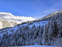 Eccolo Ce di Fuori  20250126 094228