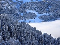 Nante  20250126 095213