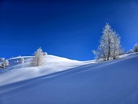 Qui il tratto più impegnativo, non c'è traccia e ci tocca battere neve molto alta e fresca  20250126 113032