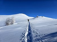 Con fatica guadagniamo la dorsale dove si trova una buona traccia di sky-alp  20250126 114530