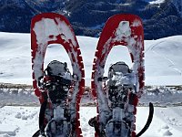 C'è un vento gelido, ci ripariamo al rifugio Foisc  20250126 121452