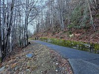 Incrociamo la strada un paio di volte, ma riprendiamo il sentiero  20250129 084723