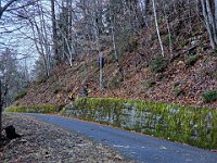 Attenzione ai cartelli  20250129 084728