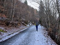 La seguiamo fino al prossimo taglio  20250129 093431