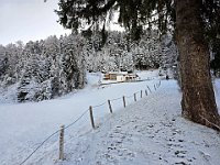 Verso le baite più alte  20250129 102540