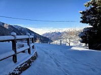 Scendiamo  20250129 124230