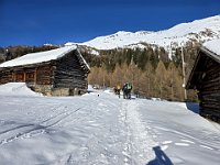 Proseguiamo  20250216 094543