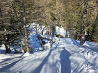 Per abitudine e seguendo una traccia dopo Ronco di Gualdo andiamo ad attraversare il ponticello di legno  20250216 094900