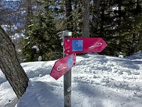 Numerose le paline ed indicazioni, siamo sul sentiero ciaspole  20250216 102305