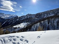 Alpe Pradasca  20250216 103934