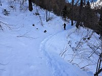 Al ponticello di Orsaria, prendiamo il sentiero sulla sponda opposta rispetto all'andata, tutto all'ombra  20250216 142423