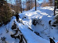 Passaggio ardito sul ponticello  IMG 4403