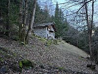 Sentiero per Pratella  20250319 085718