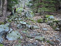 Sentiero per Pratella  20250319 085722