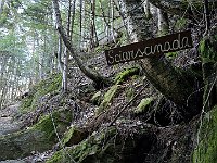 Località Sciasrscinada  20250319 095712