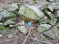 Ma completamente nel bosco, solo molto ripido  20250319 101219