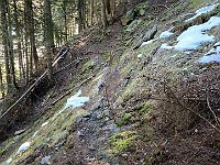 Dove incontriamo la prima neve  20250319 103217