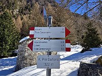 Alpe Prà Baffone 1322mt  20250319 105333