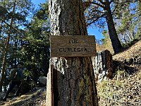 Località Curlegia  20250319 134544