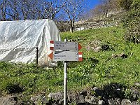 Qui si raggiunge la strada, e da qui si scende seguendo l'asfalto  20250319 151909